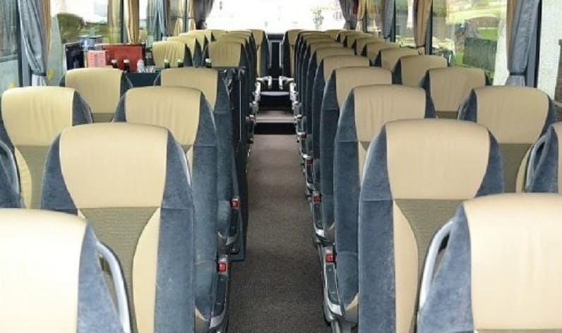 France: Coach operator in Auvergne-Rhône-Alpes in Auvergne-Rhône-Alpes and Voiron